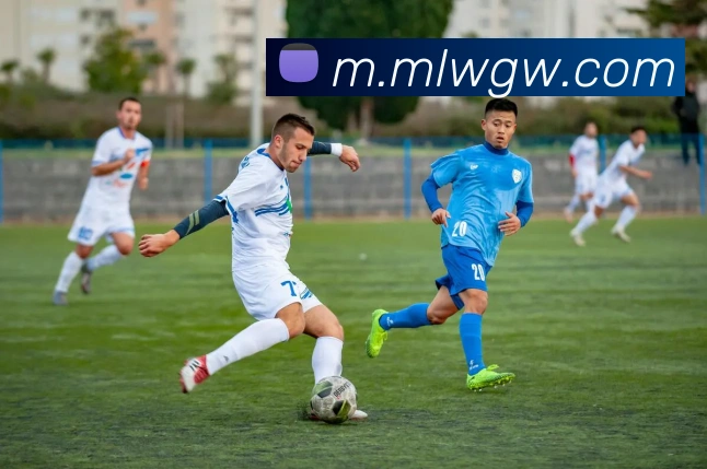 米兰网站发展历程